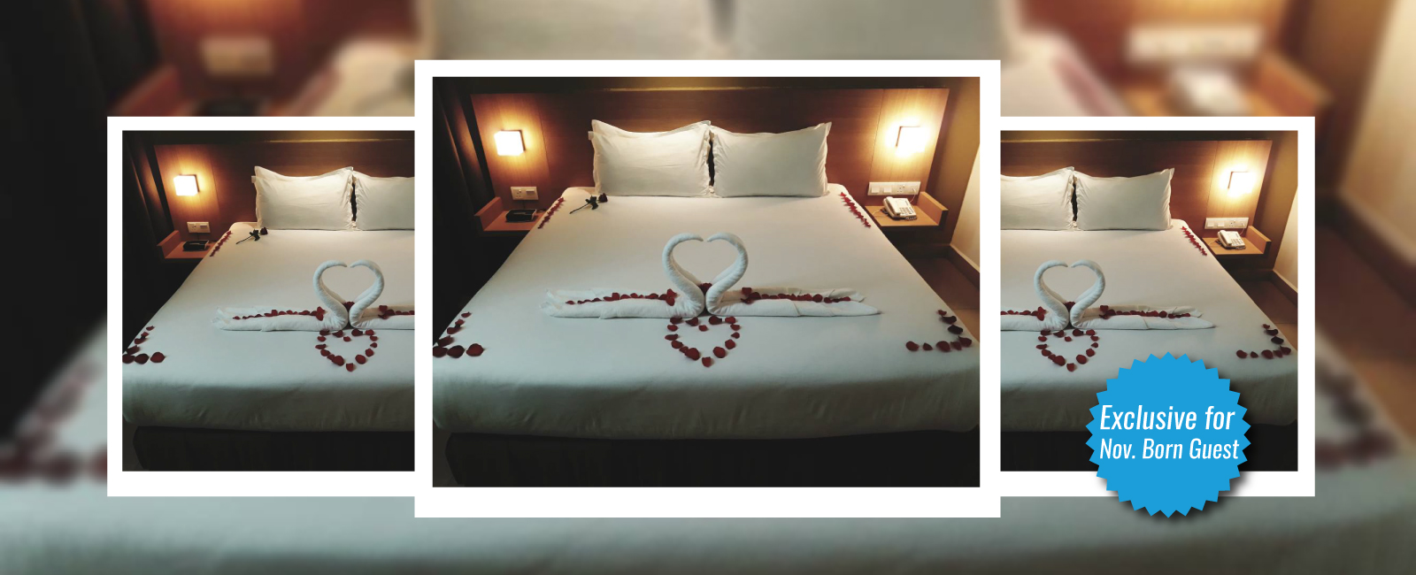 Room Deco With Swam Slider 